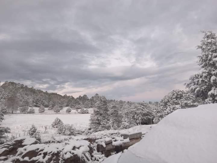 Deja Tormenta Invernal Primeras Nevadas De La Temporada Norte De