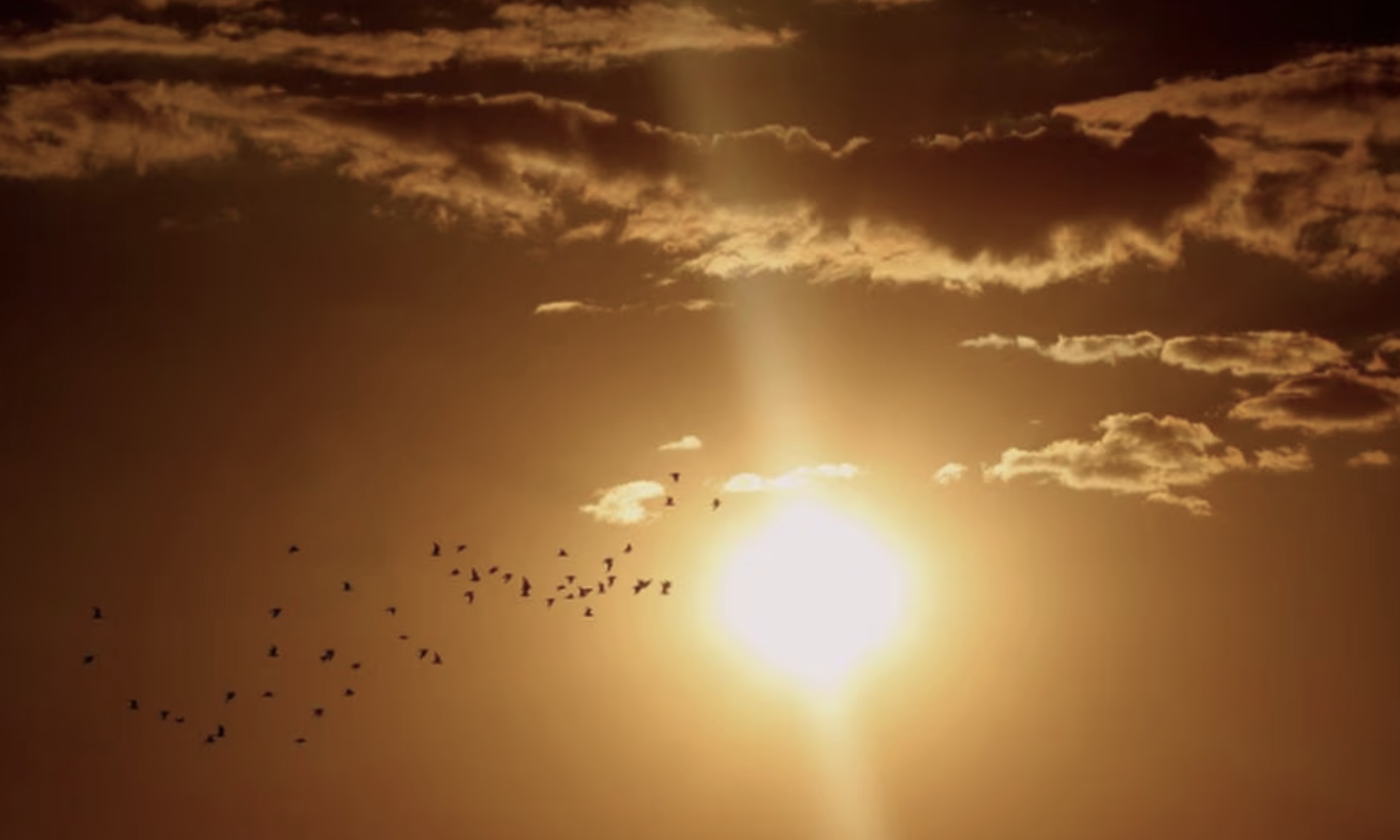 Solsticio de Verano 2024: ¿Cuándo y dónde ver el evento astronómico en ...