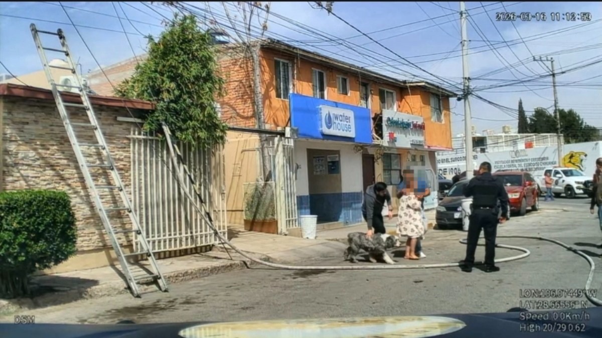 Rescata Bomberos a pareja y sus cuatro perritos tras incendio en su ...